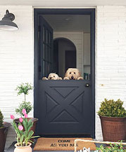 Interior Door Replacement